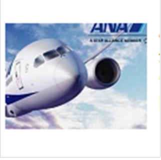 Tabhairt isteach ANA All Nippon Airways